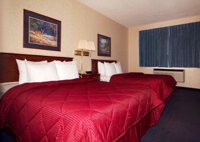 Comfort Inn - Guest Room