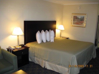 Best Western Executive Inn - King Executive Bed