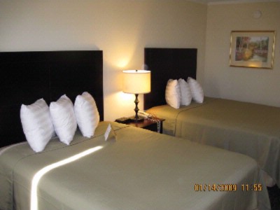 Best Western Executive Inn - Two Queen Beds