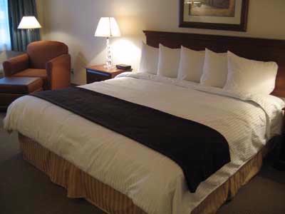 Best Western Inn at the Meadows - 