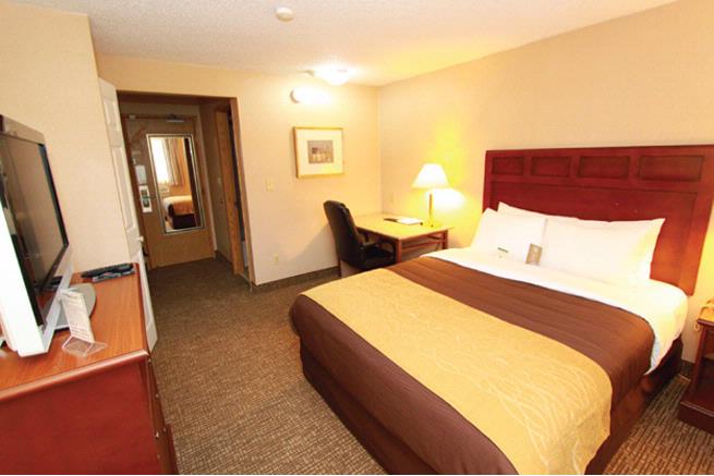 Comfort Inn Kirkland - Guestroom 2