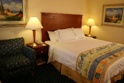 King Bed Room