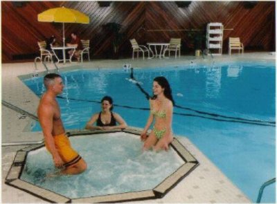 Holiday Inn Syracuse / Liverpool - Indoor Heated Pool