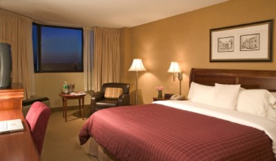 Sheraton Park South Hotel - Standard King Room
