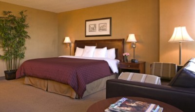 Sheraton Park South Hotel - Junior Suite