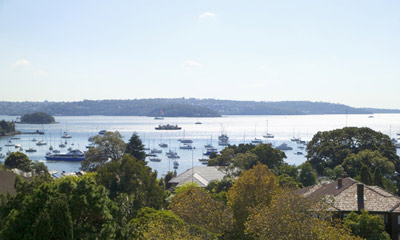 Sydney Harbour From The Roof Top Pool