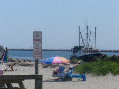 Bask In The Sun And Watch The Fishing Boats