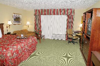 One King Bed