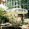 Doubletree Hotel Austin - Courtyard