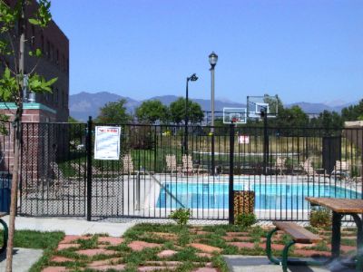 Hawthorn Suites - Pool Area