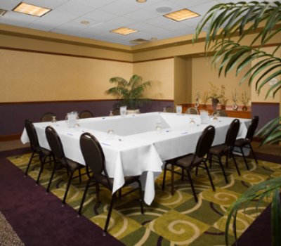 Hilton Garden Inn Detroit Downtown - Meeting Room