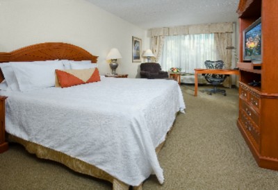 Hilton Garden Inn Detroit Downtown - Guestroom