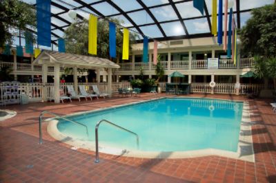 Oversized Indoor Pool With Skylight Roof