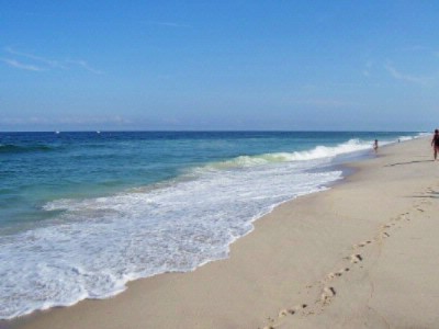 Holiday Inn of Toms River - Island Beach State Park