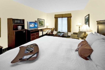 Hampton Inn Lawrenceville / I 85 / Sugarloaf - King Study Rooms