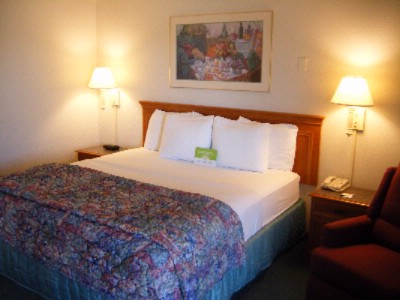 One King Bed