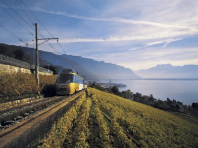 Train Des Vignes