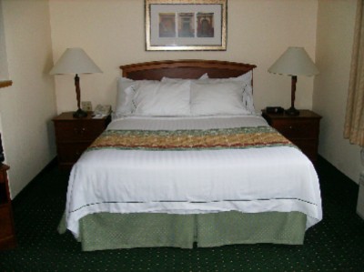 Studio Suite