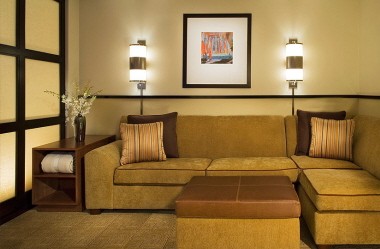 Standard Guest Room- Pull-out Queen-sized Sleeper Sofa