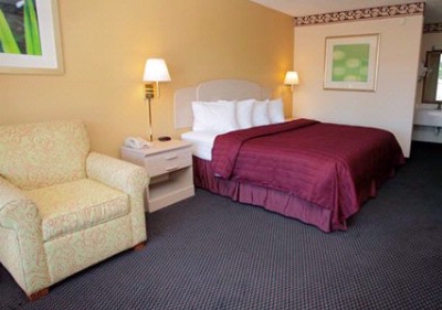 Comfortable King Bed Rooms
