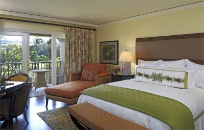 The Ritz Carlton Kapalua - 