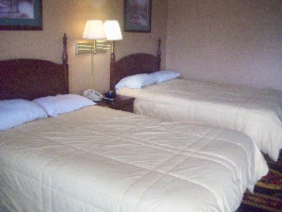 Royal Inn & Suites - Queen-size Bed