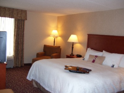 Hampton Inn - Relax In One Of Our Spacious King Guest Rooms.