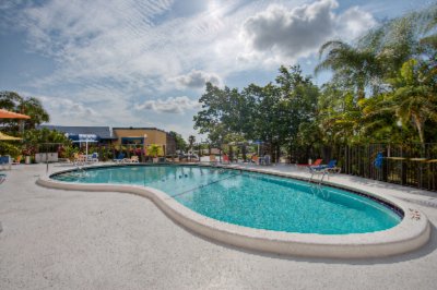 Take A Refreshing Dip In Our Pool!