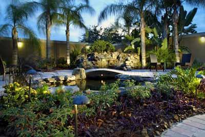 Courtyard by Marriott Tampa / Oldsmar - Lushly Landscaped Courtyard