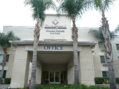 Homestead Orange County Cypress - 