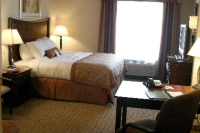 Wingate Inn Savannah Airport - Traditional King Room