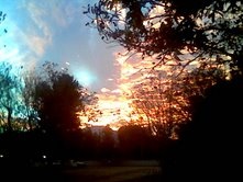 The Annabel Inn B & B - Sunset From Driveway