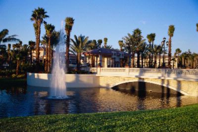 Sheraton Vistana Villages - Sheraton Vistana Villages