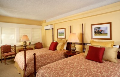 The Equus - Polo City View Double/double