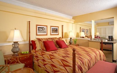 The Equus - Polo City View King