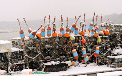 Hilton Garden Inn - Winter Lobstering