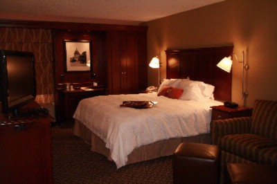 Hampton Inn Austin North - King Suite