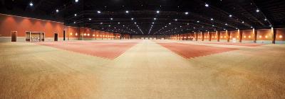 MGM Grand - Marquee Ballroom