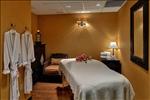 Wyndham Peachtree Conference Center - Spa