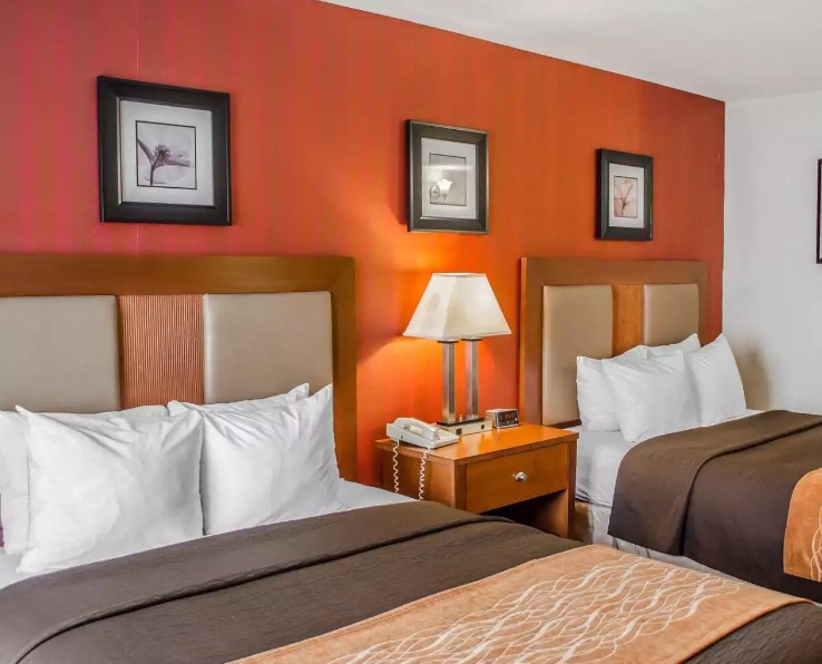 Comfort Inn Riverfront - Guest Room