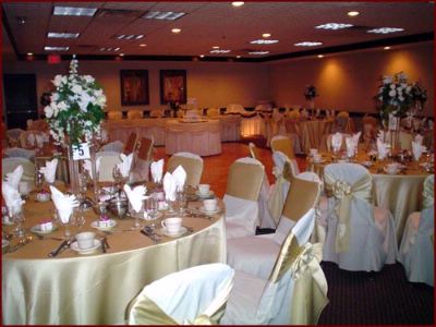 Four Points by Sheraton Chicago O'hare - 