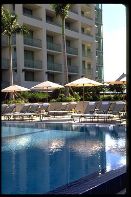 The Ritz Carlton Coconut Grove Miami - Pool