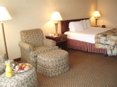 Ramada Atlanta Airport Conference Center - 