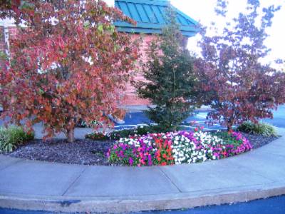 Country Inn & Suites by Carlson - Curb Appeal