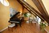 Nosticova Imperial Suite Ii
