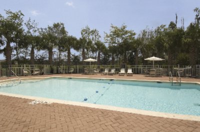 Hilton Garden Inn Tampa North / Temple Terrace - Outdoor Pool Overlooking Nature Preserve