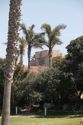 Four Points by Sheraton Ventura - Garden Courtyard