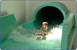 Water Slide
