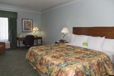 La Quinta Inn & Suites - La Quinta Tampa North King Room