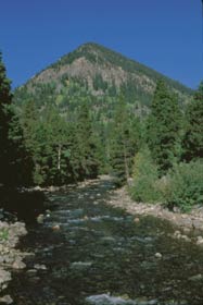 Wildernest Lodging - 